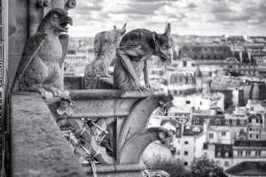 Gargoyles Leica M mit 90mm Apo-Macro Elmar bei f/4.0 1/500sec ISO 200