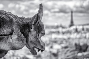 Gargoyle Leica M mit 90mm Apo-Macro Elmar bei f/4.0 1/500sec ISO 200