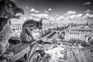 Gargoyles Leica M mit 21mm Super-Elmar asph. bei f/3.4 1/2000sec ISO 200