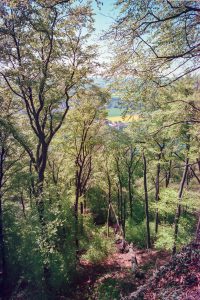 Leica M6, 21mm Super-Elmar, Fuji Superia: Auf dem Wiehengebirge