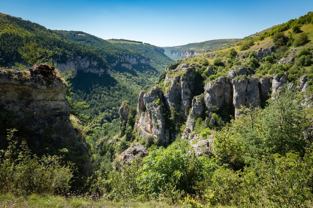 Die Schlucht des Jonte