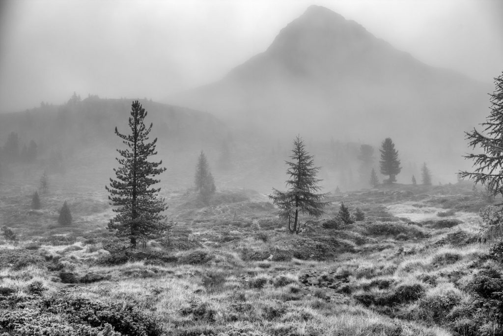 Am Staller Sattel, der Roßkopf im Nebel