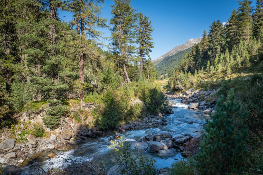 Schwarzach am Oberhauser Zirbenwald