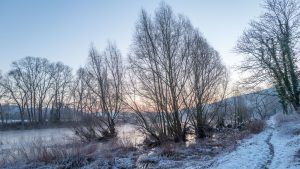 Leica Q bei f/4.0 1/60sec ISO 100, An der Weser