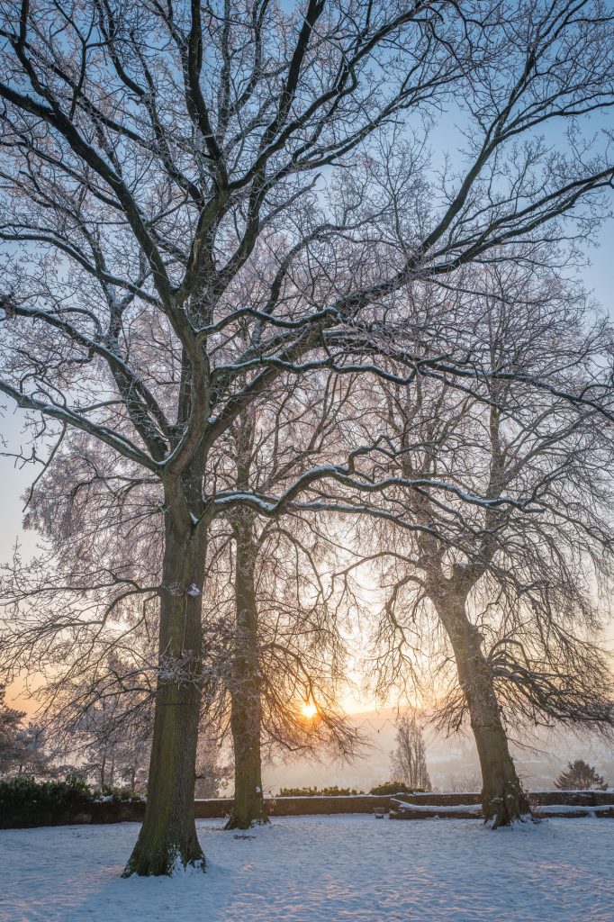 Leica Q bei f/4.0 1/200sec ISO 100, Wintermorgen am Burgplatz