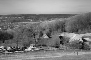 Der Reiterhof, eingebettet in Ostwestfalens Landschaft. M10 mit 90mm Macro-Elmar