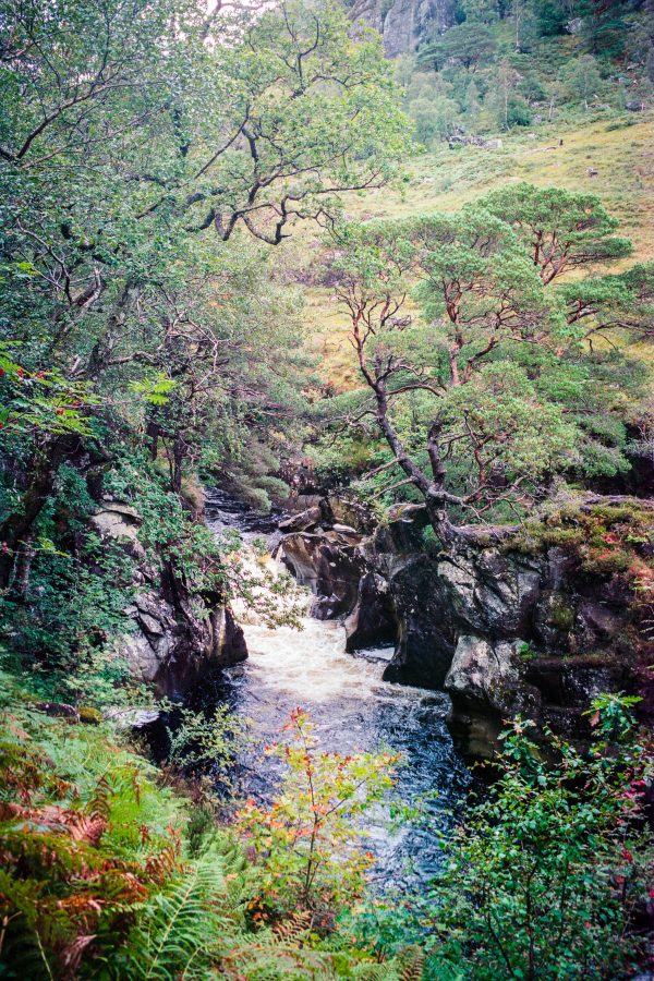 River Nevis, M6 mit 50mm Summilux, Kodak Portra