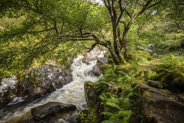 River Nevis