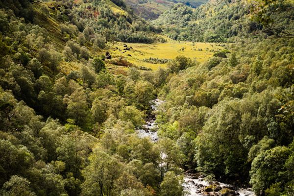 Glen Nevis, M10 mit 50mm Summilux