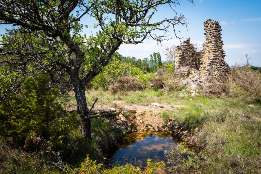 Provence: Die Quelle an der Ruine