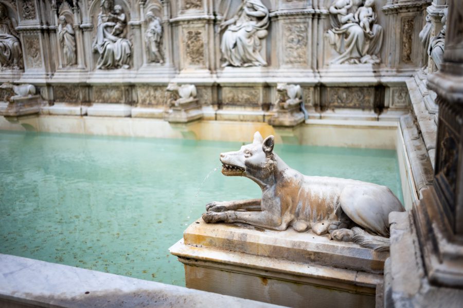 Il Campo: Am Brunnen. Die römische Wölfin ist in Siena allgegenwärtig