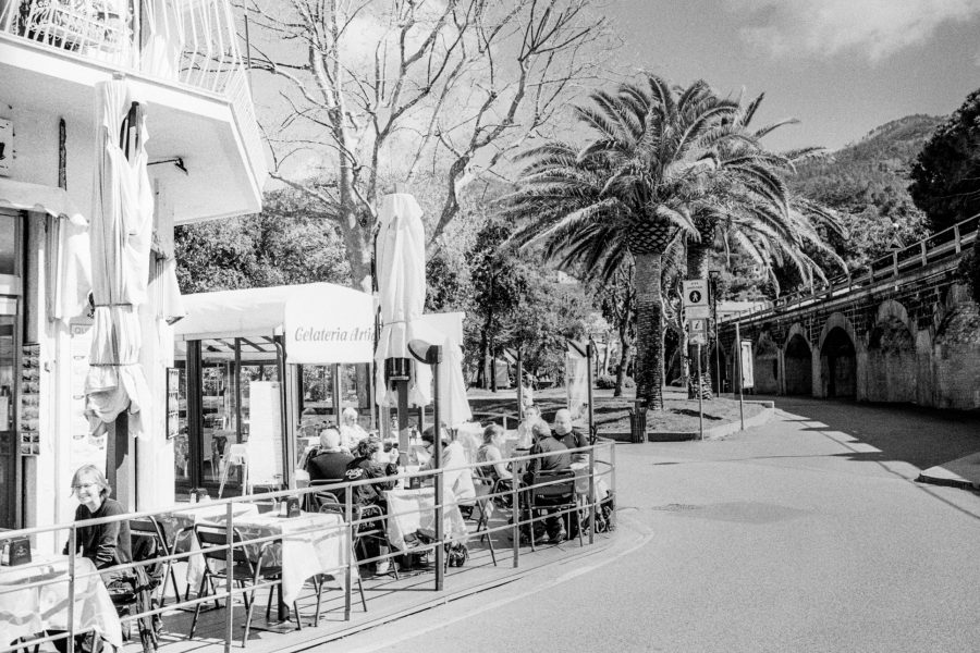 Kodak Tri-X (130)