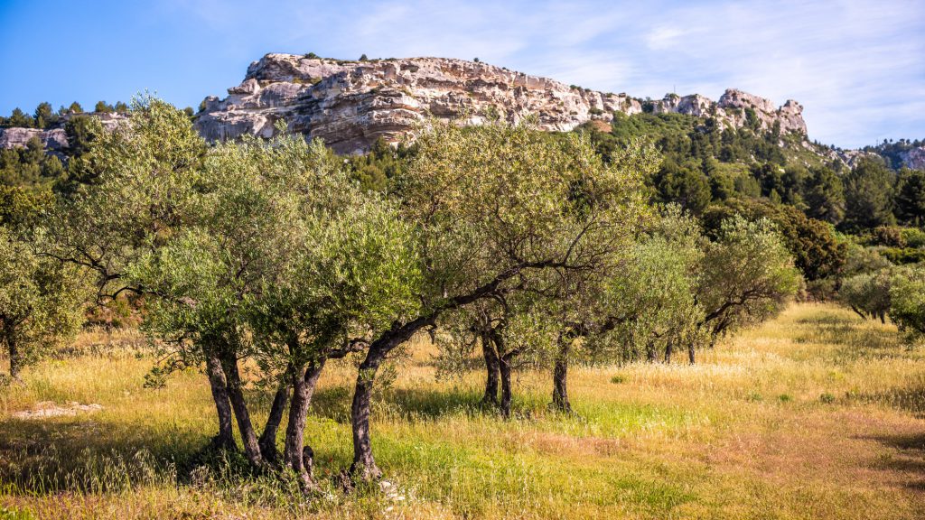 Alpilles