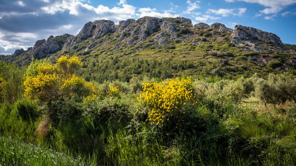 Alpilles