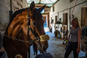 Im Stall. Leica M10