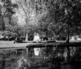 Im Ravensberger Park. Ilford HP5, Orange Filter