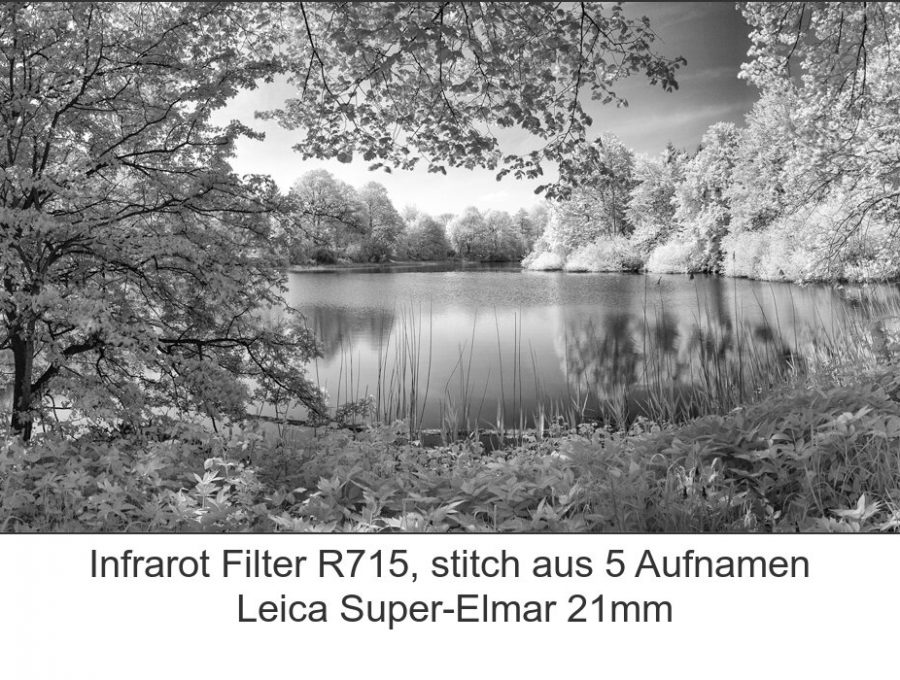 Leica Super-Elmar 21mm