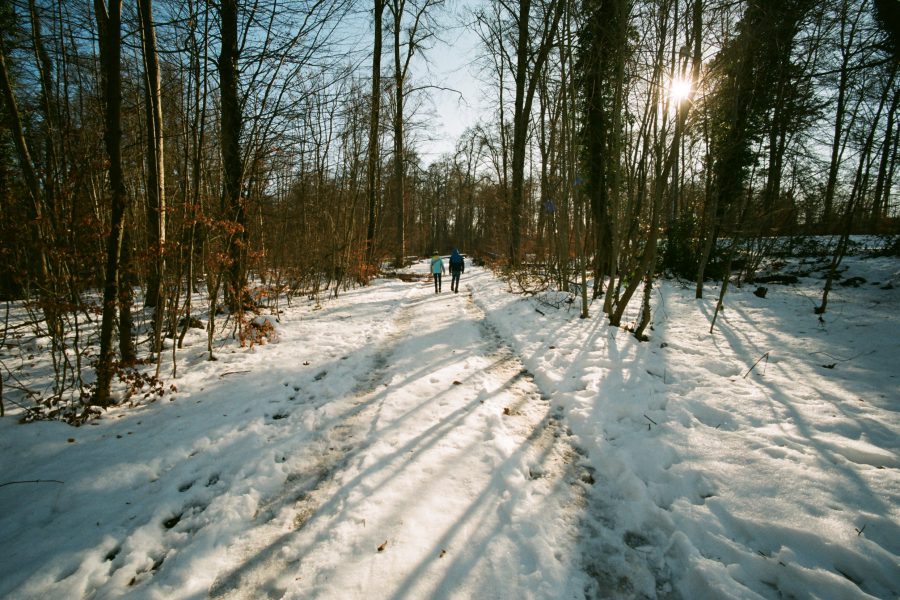 Leica-Snobs sprechen ja gerne mal von billigen Objektiven, wenn es um Voigtländer-Optiken geht. Ich habe schon viel schlechtere Ergebnisse mit viel neueren und teureren Objektiven gesehen. Voigtländer Super Wide Heliar 15/4.5 an Bessa T. Fuji C-200