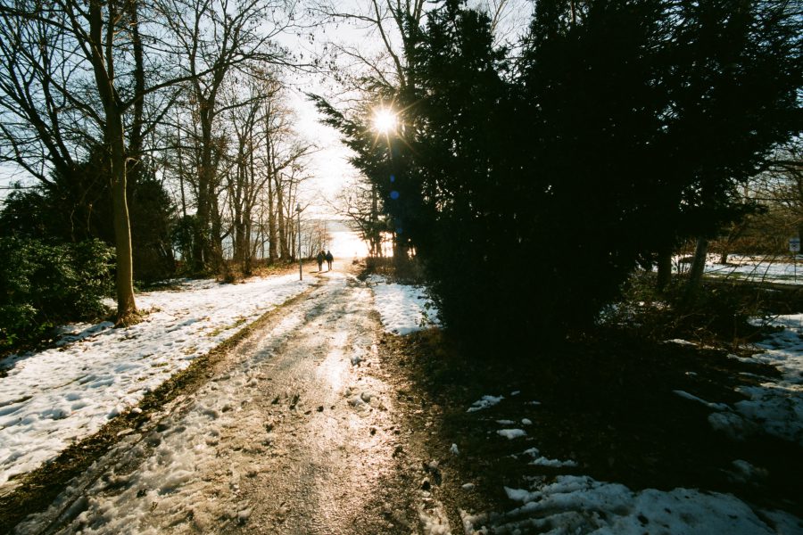 Super Kontrast, super Stabilität bei Gegenlicht. Winterabend am Bodenseeufer. Voigtländer Super Wide Heliar 15/4.5 an Bessa T.