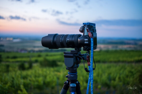 Benro-Polaris mit Nikon D850 und 200mm Tele