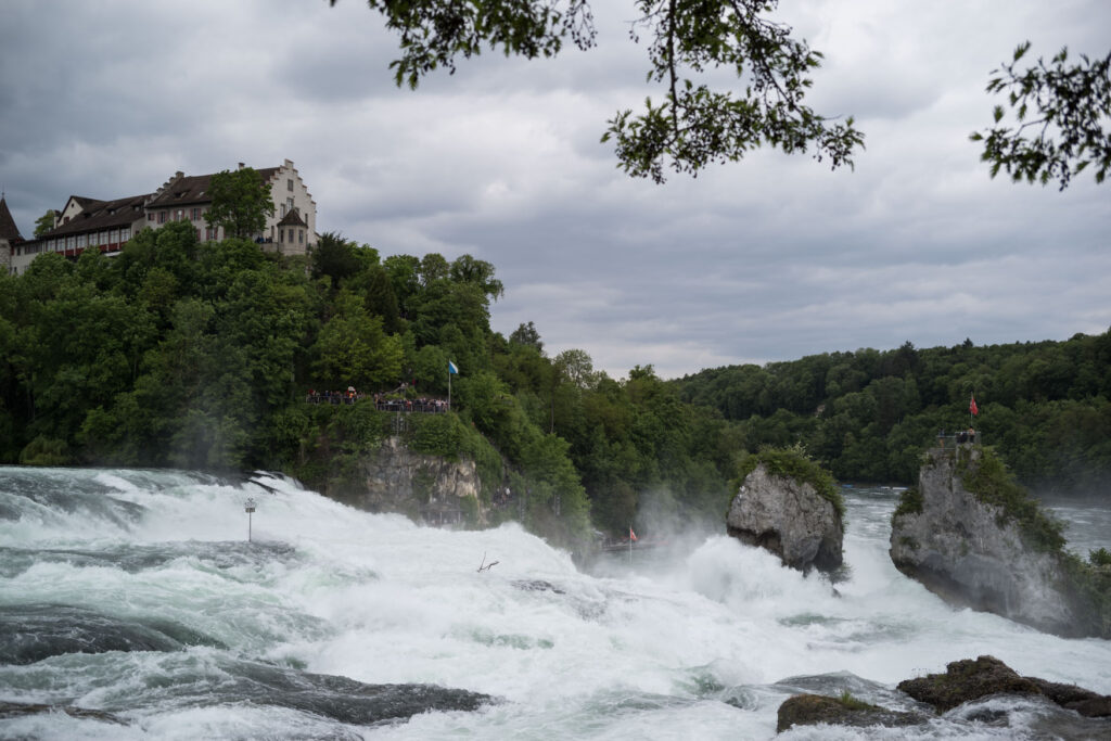 Beispielaufnahme Voigtländer Heliar 2,8/40