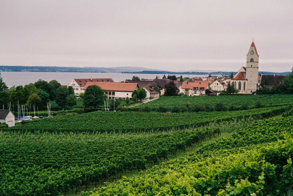 Beispielfoto, aufgenommen mit einer Kleinbildkamera Arette A von AkA Friedrichshafen bzw. akw Friedrichshafen