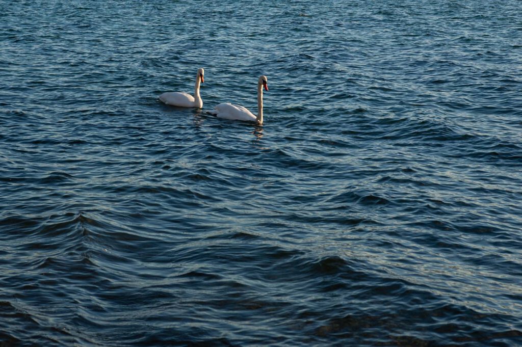 Beispielbild, fotografiert mit der digitalen Messsucherkamera Epson R-D1