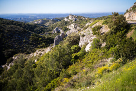 Durch die Alpilles. Leica M11-P mit 35mm Apo-Summicron bei f/2   1/800s   ISO 64