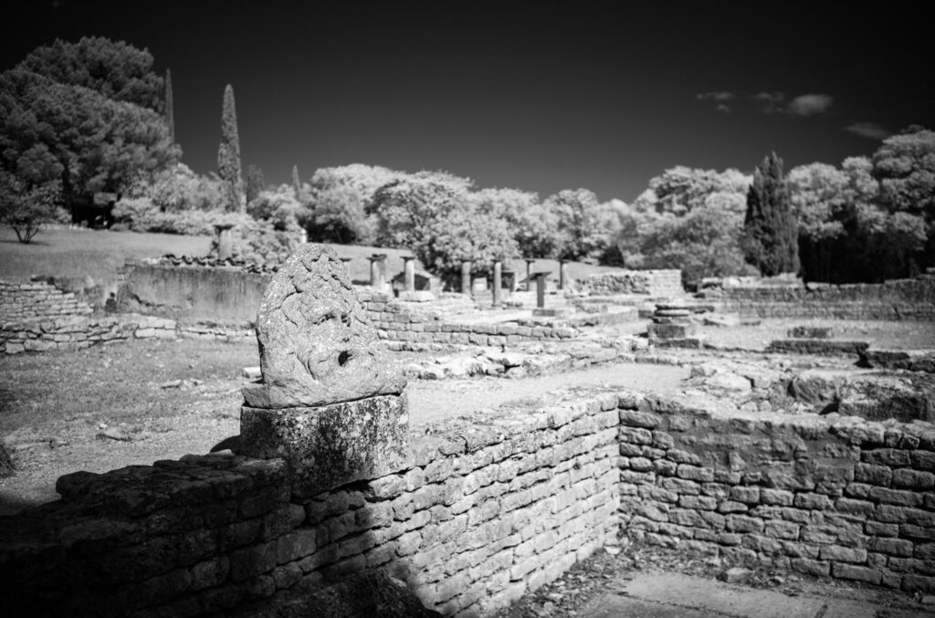 Leica M10-M