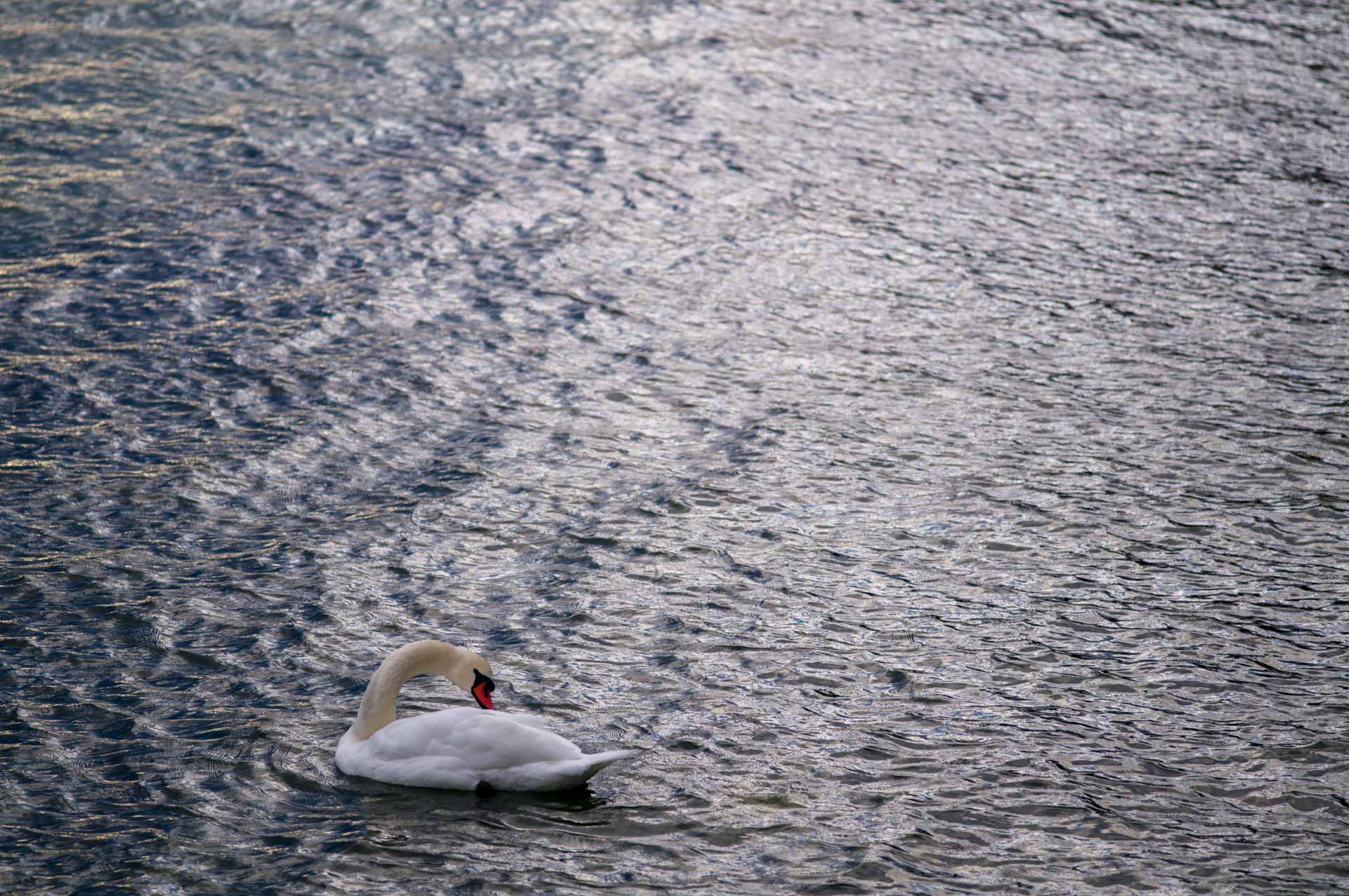 Beispielfoto vom Leica M EV1 Hands-On