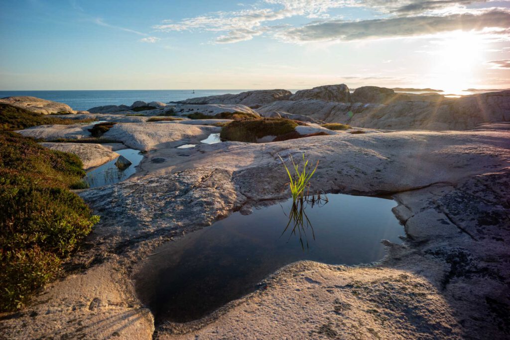 Beispielbild zeigt Abbildungsleistung des Zeiss C Biogon 4,5/21 aus der Reihe der Zeiss ZM C-Objektive