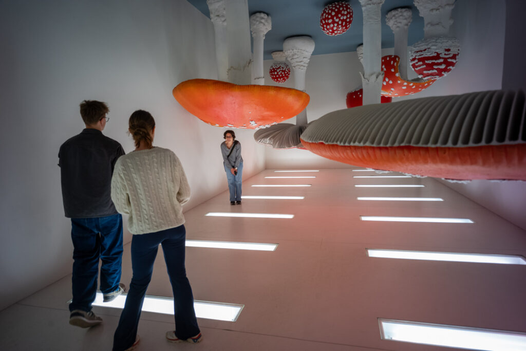 Beispielbild zeigt Abbildungsleistung des Zeiss C Biogon 4,5/21 aus der Reihe der Zeiss ZM C-Objektive