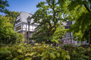 Leitz-Park